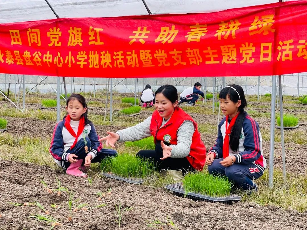 永泰县盘谷中心小学开展抛秧活动暨党支部主题党日活动