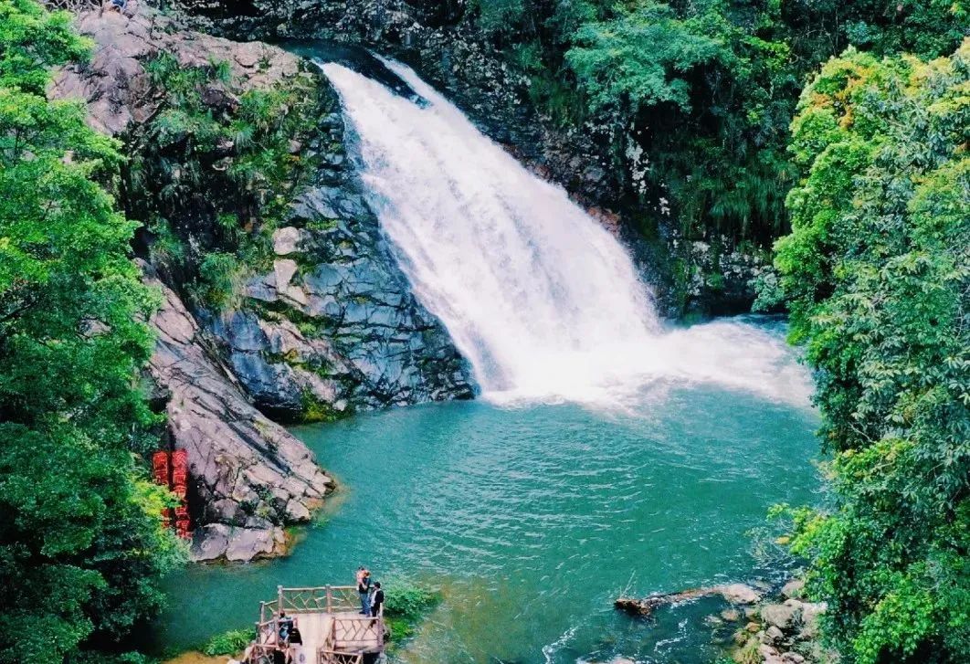 此外,这里四季分明,景色旖旎,拥有以水杉大道,半山云海,龙潭飞瀑,兰花
