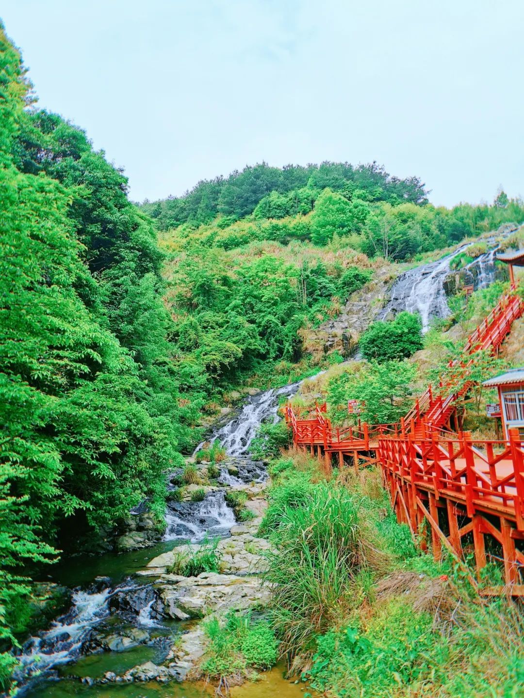 宁德多家景区免费,半价…!不担心钱包,fun开玩