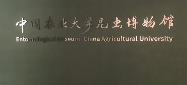 武汉地大博物馆观后感图片