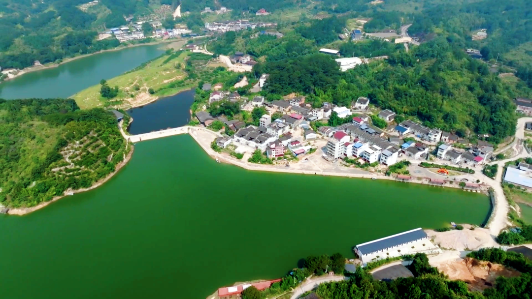 首页>福建日报>初夏,记者走进被誉为"中国银耳第一村"的古田县吉巷乡
