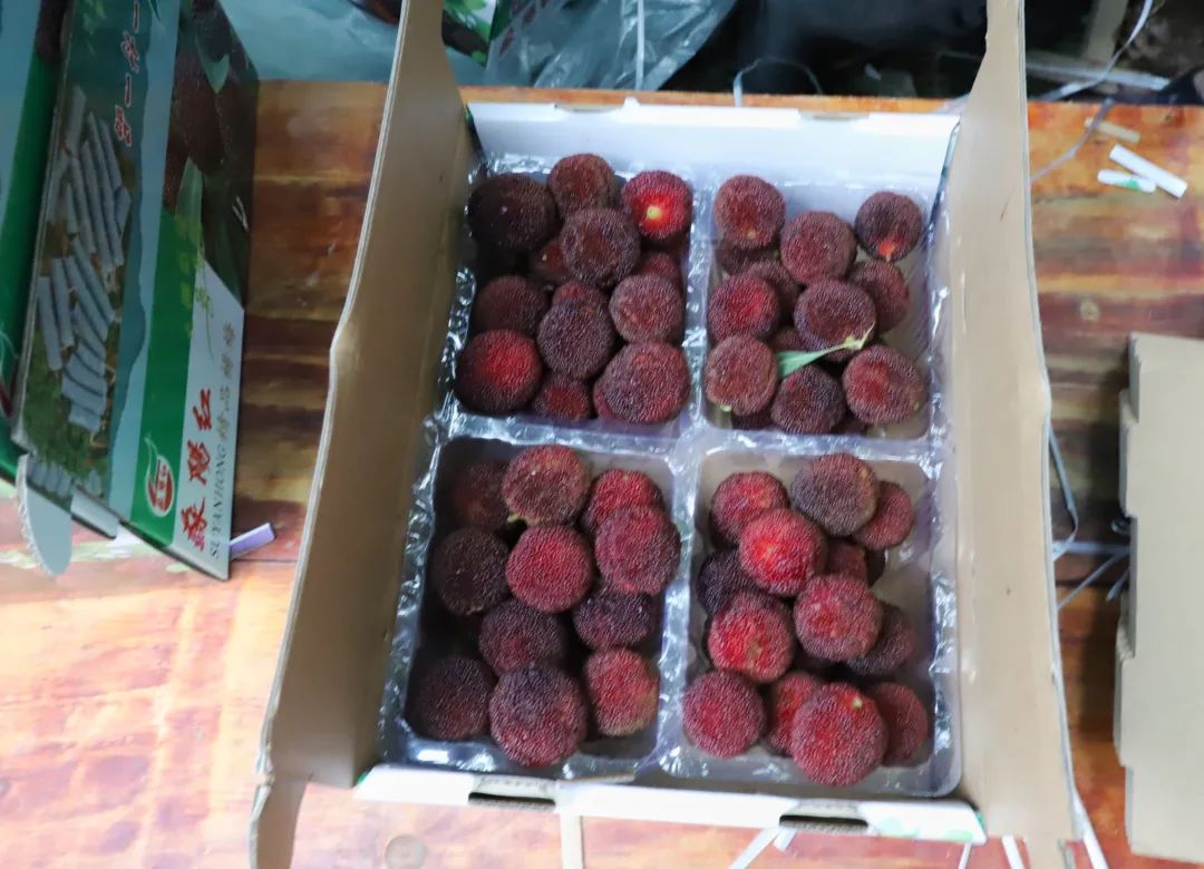 福安又一种美味水果上市啦!