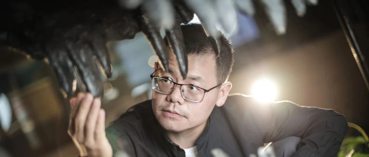 奇异福建龙一一领衔发掘者王敏研究员荣获2024年度陈嘉庚青年科学奖