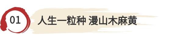 屏山君丨這位縣委書記，一直在總書記心中