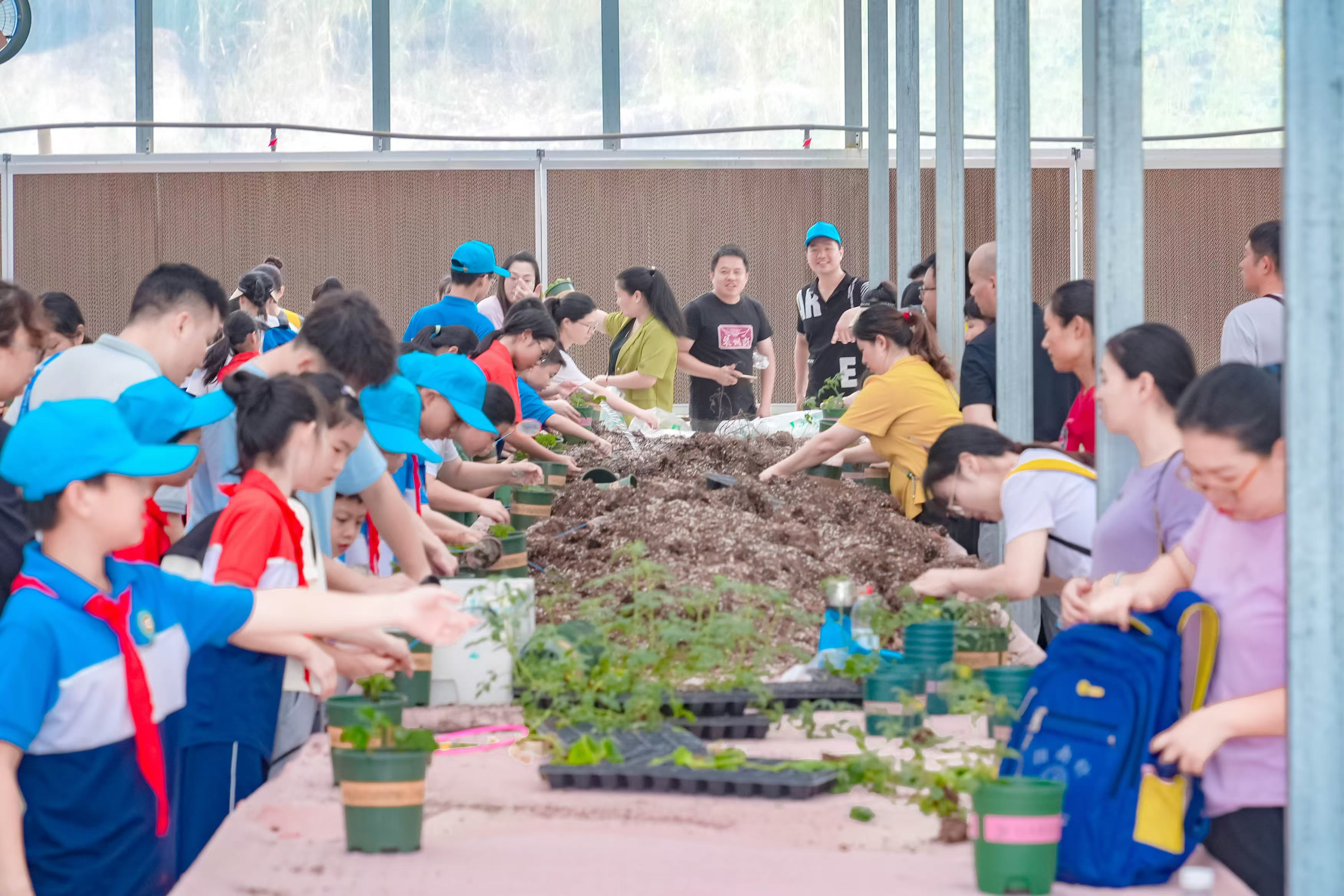 毅启科普|探索现代农业奥秘,科普研学季走进集美文源山