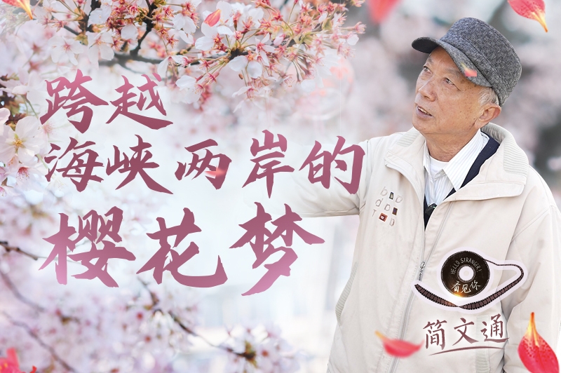 看见你丨跨越海峡两岸的三位老人，在这座山里圆了梦