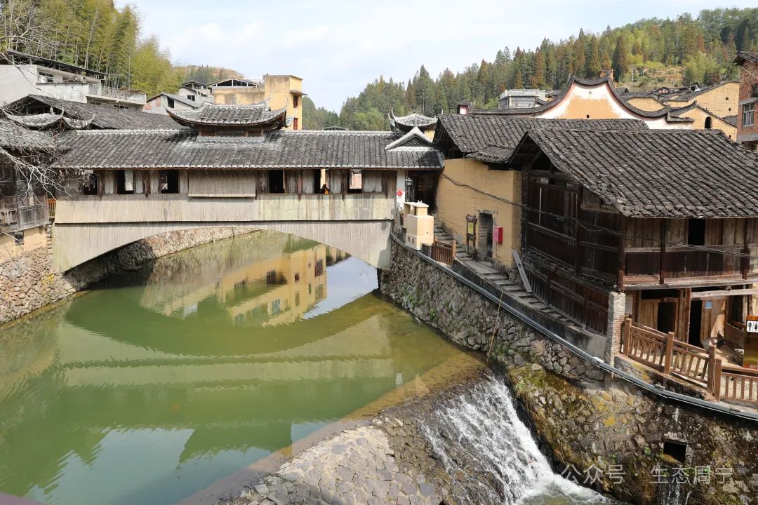 走!一起来周宁瞧"桥"吧