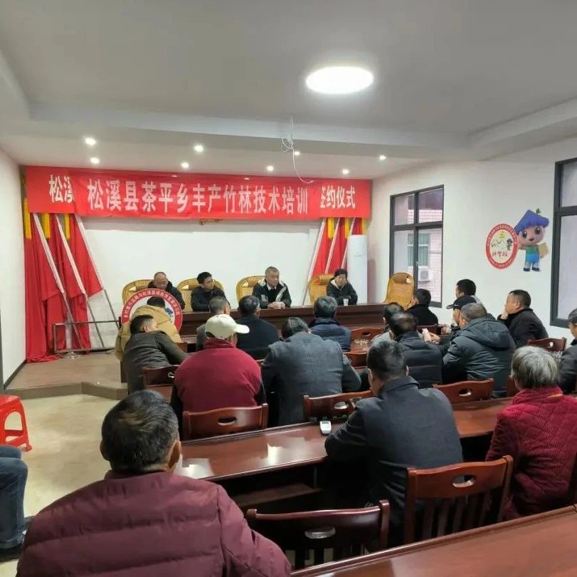 松溪：丰产竹林建设培训正当时！