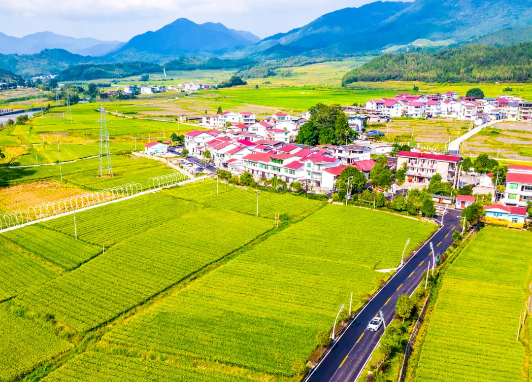 深学争优敢为争先实干争效丨建宁：村民变股民分红尝甜头