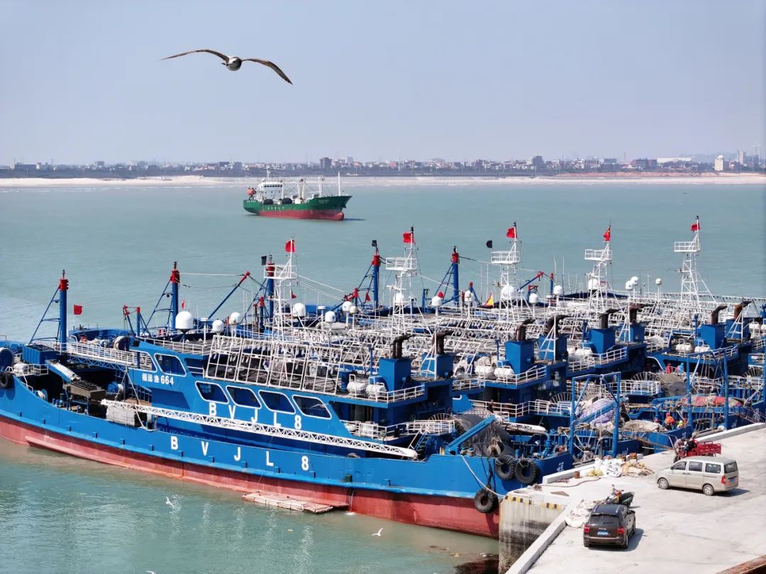 中水渔业（000798）涨停动因分析：地缘政治与行业政策双轮驱动