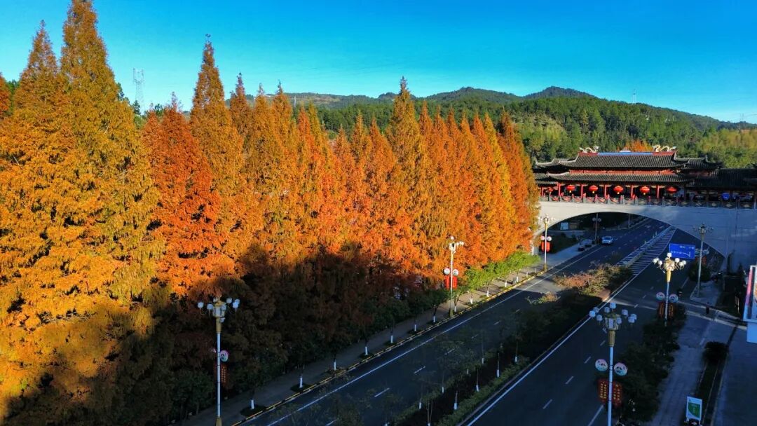 周宁11月景色速览!四帧画面,藏着最治愈的松弛感