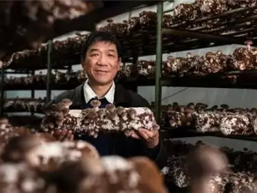 僑見·榜樣｜“愛拼才會贏”！福建走出的僑領，太了不起！