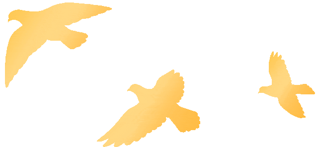 漳州古城，福建省文旅经济发展大会开幕！